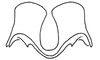 Zoniopoda iheringi Pictet & Saussure, 1887: Fig. 4A. epiphallus, frontal view. (Otu).