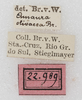labels. Depicts CollectionObject 1564325; NMW 22.989, 4bc211dc-5203-42f2-9bbc-c76bb4b01fc2, a CollectionObject.