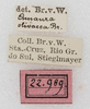 CollectionObject 1564325; NMW 22.989, 4bc211dc-5203-42f2-9bbc-c76bb4b01fc2: labels. (CollectionObject).