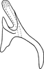 Aedeagus, lateral view: Aedeagus, lateral view. (Observation).