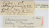 CollectionObject 1863687; ce25d1d1-3443-4e7e-a87d-163548e6e868: (CollectionObject).