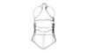 Ronderosia piceomaculata (Carbonell, 1972): Fig. 3E. male, head and pronotum, dorsal view. (Otu).