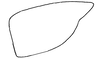 Pygofer, lateral view on Carapona vulta (DeLong & Freytag, 1975): Male holotype: pygofer, lateral view. (Observation).