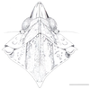 Head on Cixidia (Epiptera) mersinica (Dlabola, 1987): (Observation).