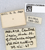 CollectionObject 1580312; 3b6fff9f-c115-4029-b5e5-1cd101ac8348: labels. (CollectionObject).