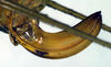 ovipositor (syntype). Depicts CollectionObject 1502817; cc3b2111-bb4a-46ff-aeaf-7aeaf27f9972, a CollectionObject.