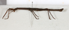 CollectionObject 1560414; fd053052-1efb-4970-be40-8e878404e646: copyright MHNG Geneva. male, lateral view (holotype). (CollectionObject).