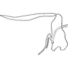 Aedeagus, lateral view: !! display not done !! on Trypanalebra Young, 1952: Aedeagus, lateral view. (Observation).
