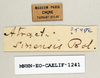 CollectionObject 1540632; 506c9559-d589-4f97-963a-988772237f58: labels (holotype). (CollectionObject).