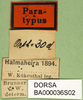 CollectionObject 1567412; 21900a87-caeb-466e-8cf6-be79a958c28d: labels (syntype). (CollectionObject).