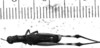 CollectionObject 1535432; ee74eca8-a592-4a4c-a6cc-578161a0b520: male, dorsal view (holotype). (CollectionObject).