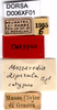 CollectionObject 1537548; ea166fa0-38b9-4ddf-9b1d-3f914c0045de: labels (holotype). (CollectionObject).