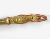 CollectionObject 1576613; USNM(SF IMPORT DUPLICATE) RD-248, 224e311c-4bbb-40fb-967d-72755e885456: copyright USNM, Washington. male: end of abdomen, ventral view (holotype). (CollectionObject).