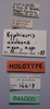 CollectionObject 1541186; ac7bd828-c7c4-4806-a3d5-31b1350a1b99: male, labels (holotype). (CollectionObject).