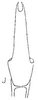 Aedeagus, ventral view: !! display not done !! on Amplicephalus (Amplicephalus) faminoides Linnavuori, 1955: Aedeagus, ventral view. (Observation).