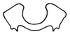 Aleuas paranensis Carbonell, 2008: Fig. 32H. epiphallus, frontal view. (Otu).