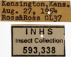 Other on Athysanella (Gladionura) emarginata (Osborn, 1930): Labels - Male. Labels for male specimen. (Observation).