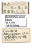 Other on Concaves albiclypeus (Li & Wang, 1993): (Observation).