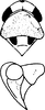 Head on Shaddai shaanxiensis Ma, 1981: Head, pro-, and mesothorax. (Observation).