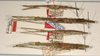 CollectionObject 1557081; ee83db3c-c298-4bfd-97a6-4bf99992b93a: copyright ZMUH, Hamburg. male and females (syntypes). (CollectionObject).;CollectionObject 1557082; 23000b72-56cc-4352-b179-0532f7f9af54: copyright ZMUH, Hamburg. male and females (syntypes). (CollectionObject).;CollectionObject 1557083; 6768d7bd-8771-437c-a457-e6fa230fbd93: copyright ZMUH, Hamburg. male and females (syntypes). (CollectionObject).