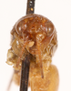 CollectionObject 1523744; 3fac1c77-325b-4392-b4ee-76d2554f09a3: male, frontal head (holotype). (CollectionObject).