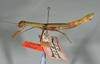 CollectionObject 1559846; abb1d81c-bde9-4d41-9cf0-f80d4edba0ee: copyright USNM, Washington. (CollectionObject).;CollectionObject 1559847; e611e944-2d48-40fc-b5bd-7cd65ae6fc57: copyright USNM, Washington. (CollectionObject).