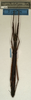 CollectionObject 1557198; NMW 954, da41f090-ae4f-4871-8f3c-0969496cc748: copyright NMW, Vienna. female (holotype). (CollectionObject).