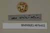 CollectionObject 1572978; 2f5c9208-e27c-4b0b-b032-a13af6fc4023: Copyright Natural History Museum, London. Labels from non-type (adult female) in BM(NH). (CollectionObject).