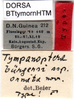 CollectionObject 1500417; 9c0c9129-e26f-4bda-8af6-38ba27515894: male labels (holotype). (CollectionObject).