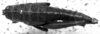 CollectionObject 1567330; a85227a1-3163-4f28-8716-aa4b4e280595: Image Carbonell, C.S. female, dorsal view (paralectotype). (CollectionObject).