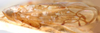 Habitus, lateral view: Scaphomonus redundans, lateral habitus (BMNH). (Observation).