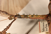 CollectionObject 1556973; 26aa5dcb-0a71-452e-8371-8d655e737257: copyright OUMNH. male: head and thorax, lateral view of Cyphocrana punctipes (holotype). (CollectionObject).