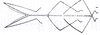 CollectionObject 1562370; f509315f-027d-4f94-9db3-caa936cc36ea: from Piza 1938. male (holotype). (CollectionObject).