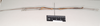 CollectionObject 1558588; b20d032c-9c70-4c15-96d5-4319c2aa3647: copyright Natural History Museum, London. male, lateral view (holotype). (CollectionObject).