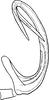 Aedeagus, lateral view on Colladonus torneella (Zetterstedt, 1828): Aedeagus, lateral view. (Observation).