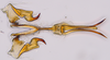 Aedeagus, ventral view: (Observation).