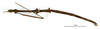 CollectionObject 1560914; 86784958-21d0-43b5-aa1a-ba2027c9d702: copyright MNHN, Paris. male, ventral view (holotype). (CollectionObject).