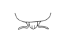 Drymacris nebulicola (Rehn, 1929): Fig. 35. end of phallic complex, dorsal view. (Otu).