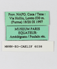 CollectionObject 1588729; 22f080c9-69e8-47a1-93ac-5707cbd53097: labels. (CollectionObject).