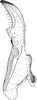Stylus: !! display not done !! on Turrutus socialis (Flor, 1861): Stylus. (Observation).