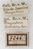 CollectionObject 1566798; NMW 7246, f44228dc-5ee8-4fa1-a8fe-33ff19475a9c: labels. (CollectionObject).