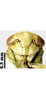 Head: !! display not done !! on Opsius heydeni (Lethierry, 1876): (Observation).