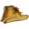 Pygofer, lateral view: !! display not done !! on Faltala furcipennis Cheng, 1980: (Observation).