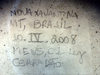 CollectionObject 1527813; b26a1499-e5e4-42e1-9515-8e7742e917e0: label (holotype). (CollectionObject).