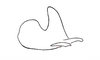 Baeacris talamancensis Rowell & Carbonell, 1977: FIg. 21. epiphallus, left lateral view. (Otu).