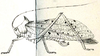 Protina guttulata Brunner von Wattenwyl, 1879: Fig. 16. female habitus (olivaceous-green; body length 33 mm, pronotum 8.5 mm, tegmina 50 mm, hind femora 27 mm, ovipositor 7 mm). (Otu).