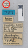 CollectionObject 1518906; 5ba69d89-1320-410f-8f4b-b896866c8a5e: labels (holotype). (CollectionObject).