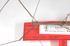 CollectionObject 1559568; a734e7aa-833b-4aae-8f81-61bfa64e1f57: copyright ZSMC, Munich. male: head & thorax, lateral view (holotype). (CollectionObject).