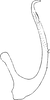 Aedeagus, lateral view on Empoascanara (Empoascanara) hongkongica Dworakowska, 1971: Aedeagus, lateral view (E. goplana). (Observation).