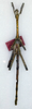 CollectionObject 1556971; ANSP(SF IMPORT DUPLICATE) 5631, 98b2dcfe-9fcd-4a52-9ae2-6fba5d4001e7: copyright ANSP. male (holotype). (CollectionObject).